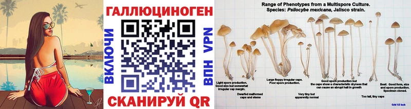 shop какой сайт Тетюши Галлюциногенные грибы GOLDEN TEACHER где купить